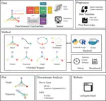 CellFateExplorer: An integrated platform for exploring cell fate