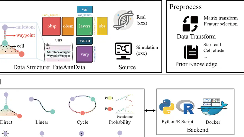 CellFateExplorer: An integrated platform for exploring cell fate